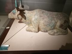 -宁夏博物馆