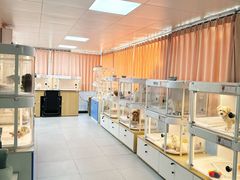 -翊宠yipet猫狗购宠庄园犬舍•猫舍