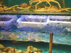 水产区-星龙海鲜(望江东路店)
