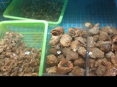 -和源祥·日照菜扛把子(万平口一店)