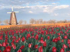 -漩门湾国家湿地公园