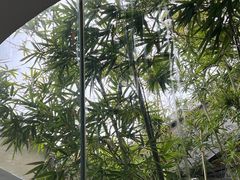 -曲廊院(东四十一条店)