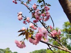 -观澜湖生态运动公社