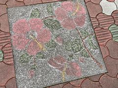 -美国村