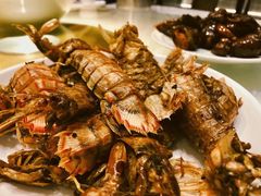 -日丰园海肠水饺·老字号大连海鲜(和平广场店)