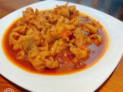 -红辣椒八爪鱼特色韩国料理