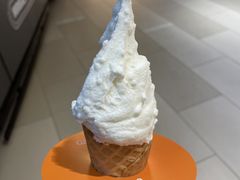 五常大米冰激凌-野人先生现做冰淇淋(北京环宇荟店)