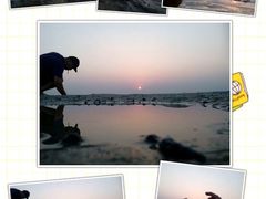 android_upload_pic-北海金海湾红树林生态旅游区