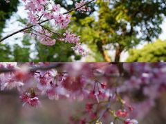 -福建鲤鱼洲酒店