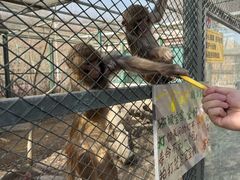 -水上乐园·欢乐世界