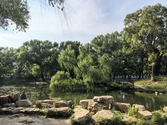 -万泉公园