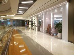 门面-喜鼎海胆水饺(平安金融中心店)