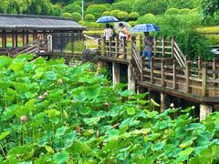 -龙头寺公园