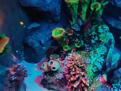 -沈阳海洋探索中心