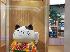 -屋虎猫馆(宝安大仟里店)
