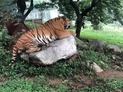 -西安秦岭野生动物园