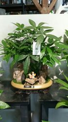 -花落谁家婚礼策划(永安街店)