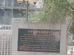 -辽宁电视塔