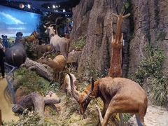 -陕西自然博物馆