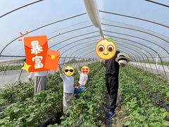 -小鱼草莓采摘园农家乐·小鱼餐厅