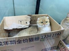 -酷迪(巴沟华联店)