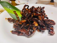-枣子树·素食餐厅(普陀山店)