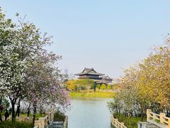 -海珠湖公园