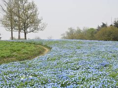 -上海辰山植物园