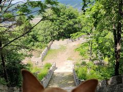 -玉泉威虎山森林公园