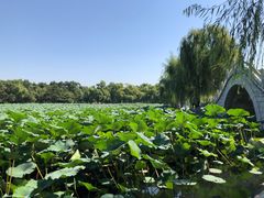 -长春市南湖公园