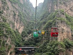 -北京龙庆四季香农家饭庄·灶台鱼·碳烤虹鳟鱼(龙庆峡店)