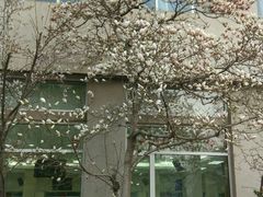 -北京积水潭医院-停车场