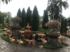 -东芭乐园