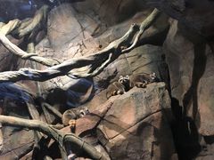 -波塞冬旅游度假区