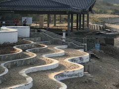 -采粤轩中餐厅(惠州金海湾喜来登度假酒店)