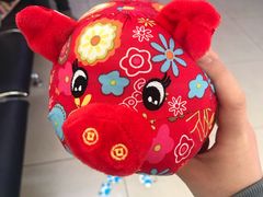 -宠颐生中康贝怡动物医院