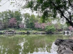 -柳侯公园