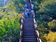 -大岭沟猕猴桃谷风景区