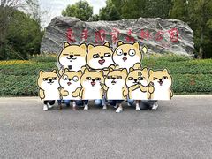 -东平国家森林公园