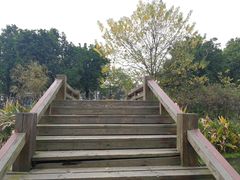 -艾溪湖湿地公园