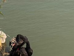 -天津东丽湖风景区