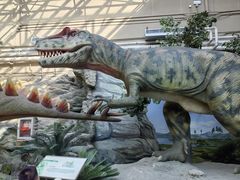 -国家自然博物馆