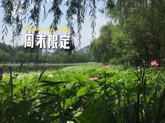 -WhaleSports户外水上运动俱乐部(朝阳公园店)