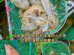 -三亚亚特兰蒂斯度假区