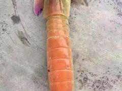 -浪琴湾尾角仔海鲜坊