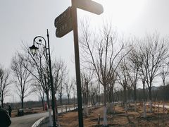 -天津东丽湖风景区