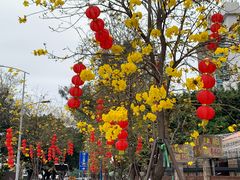 -洲头咀公园