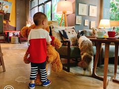 -咖法森林·咖啡  酒吧(天河店)