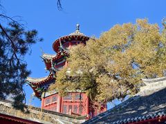 -北山公园