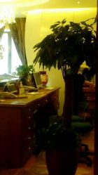 -TIME SPA科技美肤机构